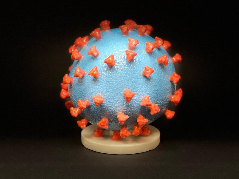A 3D print of a spike protein on the surface of the Covid-19.  EPA