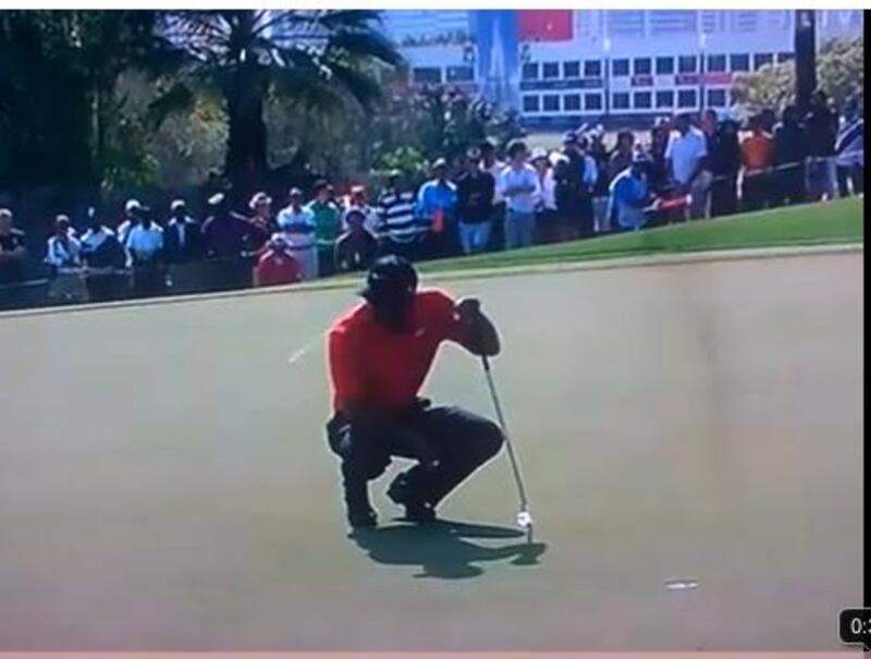 Tiger Woods spat on the 12th green at the Dubai Desert Classic.