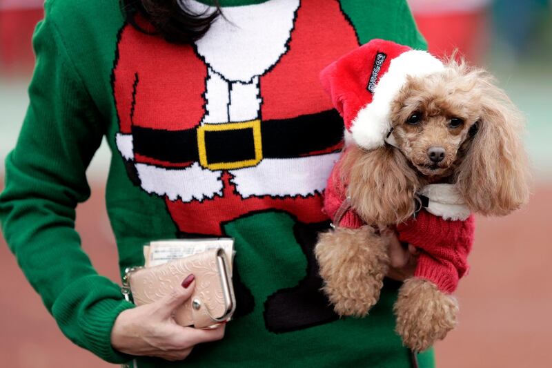 A participant holds a dog dressed in a Christmas costume prior to the event. EPA