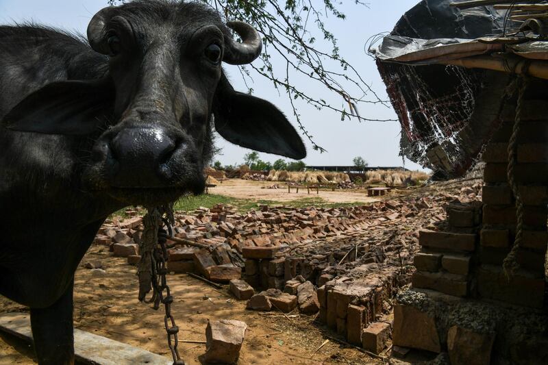 The debris a house after heavy storm winds in Kheragarh on the outskirts of Agra. Chandan Khanna / AFP