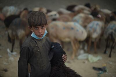 An Afghan vendor holds a sheep as he waits for customers at a livestock market ahead of the Eid al-Adha Muslim festival, on the outskirts of Kabul on August 30, 2017.
Muslims across the world are preparing to celebrate the annual festival of Eid al-Adha, or the Festival of Sacrifice, which marks the end of the Hajj pilgrimage to Mecca and in commemoration of Prophet Abraham's readiness to sacrifice his son to show obedience to God. / AFP PHOTO / SHAH MARAI