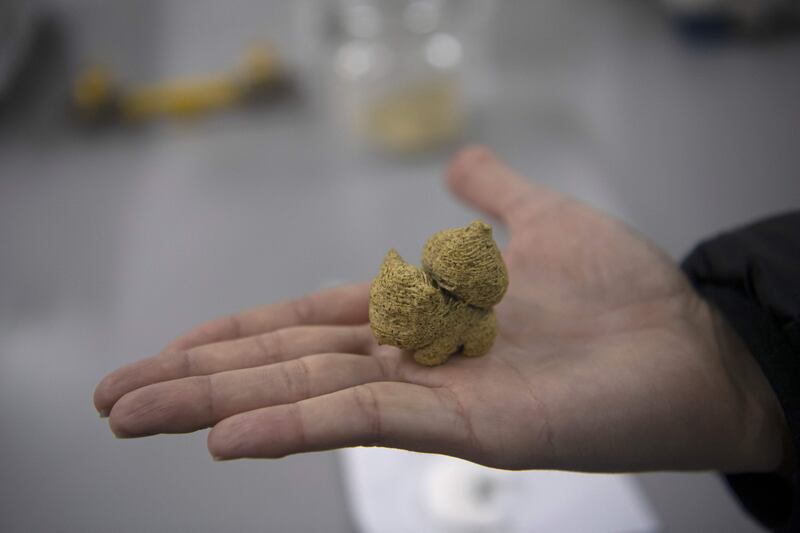 Food engineer Roberto Lemus handles 3D-printed candy – shaped like the Pokémon character Bulbasaur – made with cochayuyo seaweed and rice flour at the lab of Chile's University in Santiago. AFP