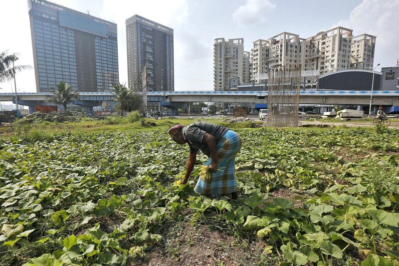 India’s latest budget aims to double farmer income in five years. Rupak De Chowdhuri / Reuters