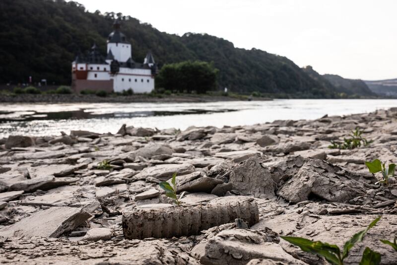 Young plants grow in the dried mud of the exposed bed of the Rhine near Pfalzgrafenstein Castle in Kaub, Germany. Bloomberg