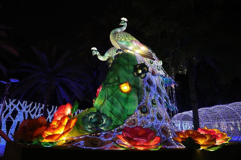 DUBAI, UNITED ARAB EMIRATES , October 14 – 2020 :- View of the colourful light figures at the Dubai Garden Glow season 6 which opened on 12th October at the Zabeel park in Dubai. No sitting allowed on the benches as a precautionary measure against the spread of coronavirus. Security at the entrance gate checks the body temperature of all the visitors. (Pawan Singh / The National) For Life Style/Online/Instagram/Big Picture. Story by Evelyn Lau