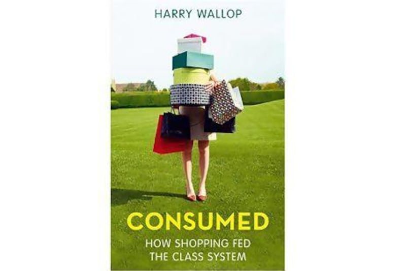 Consumed: How Shopping Fed The Class System by Harry Wallop