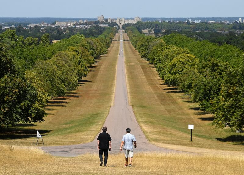 People walk on parched grass of The Long Walk towards Windsor Castle. Reuters