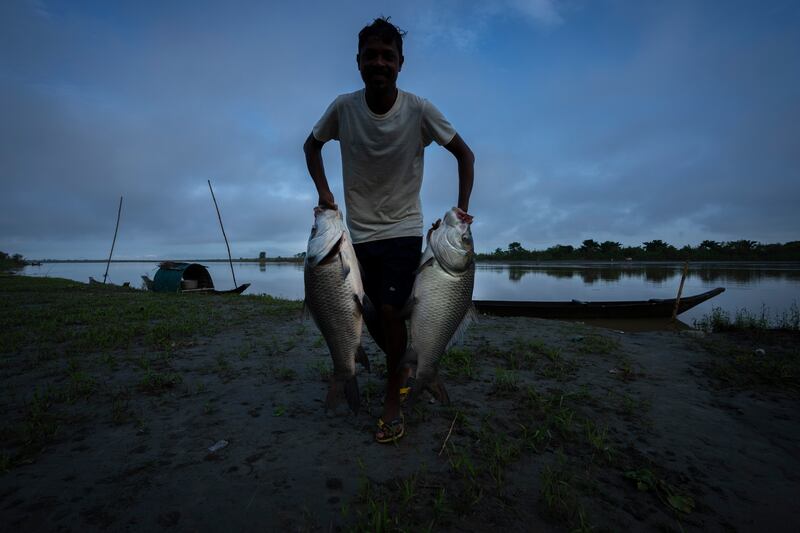 A member of the Mishing tribe carries his catch after fishing in Janji river in upper Assam, India. AP