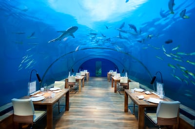 Conrad Maldives' underwater restaurant Ithaa
