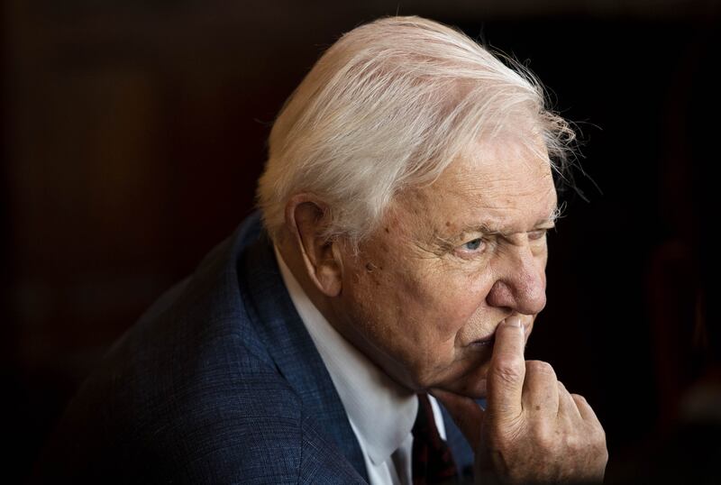 Sir David Attenborough called for greater action on climate change. PA.