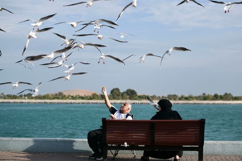 Feeding birds at the Corniche, Abu Dhabi. Khushnum Bhandari / The National