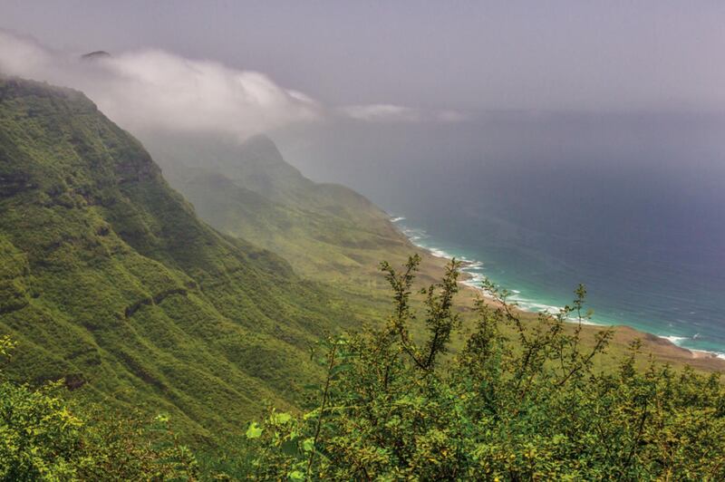 About an hour or so before you hit Salalah, the landscape will start changing – smatterings of greenery will begin to appear on the sand and, suddenly, you’ll find yourself enshrouded by a misty, lush green landscape. Courtesy Ministry of Tourism – Oman