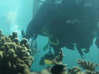 Divers from the Fujairah Adventure Centre are building a mega artificial reef they hope will protect sea life, combat coral bleaching and other coral degradation caused by climate change.