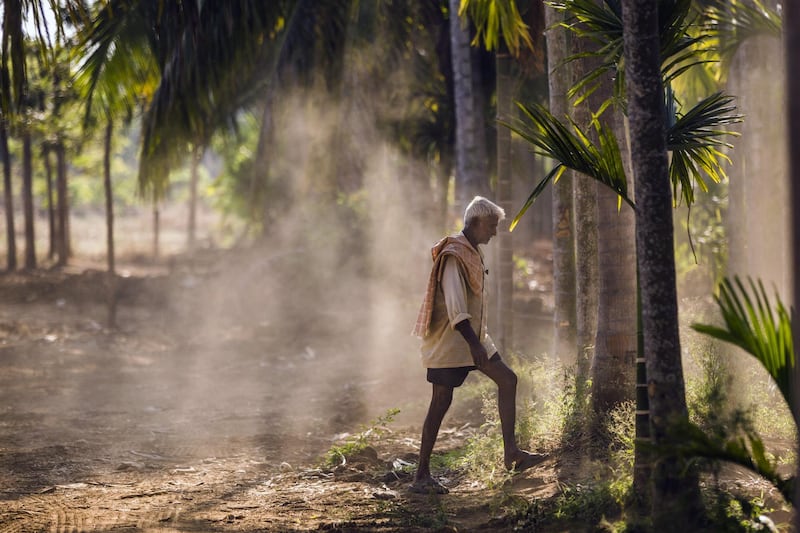 A farmer walks through an areca nut farm in the village of Kuragunda in Karnataka, India, on Thursday, March 8, 2018. With almost 70 percent of India's 1.3 billion people living in rural villages and agriculture contributing about 16 percent of gross domestic product, what happens in the sector determines not only Prime Minister Narendra Modi's election fate, but also growth prospects for the $2.3 trillion economy. Photographer: Prashanth Vishwanathan/Bloomberg