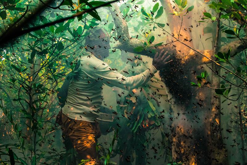 Winner, Mangroves & Humans, Muhammad Mostafigur Rahman, Bangladesh, Photo: Muhammad Mostafigur Rahman / Mangrove Photography Awards