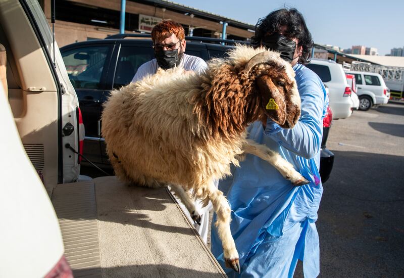 It was a busy day at Abu Dhabi Livestock Market before Eid Al Adha.