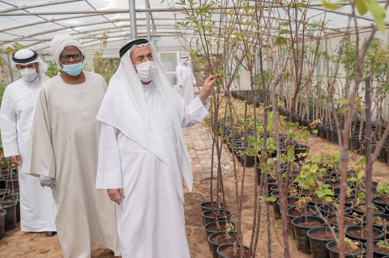 Sharjah Ruler Sheikh Dr Sultan bin Muhammad Al Qasimi inspects modern development projects in Kalba, Sharjah. All photos: WAM