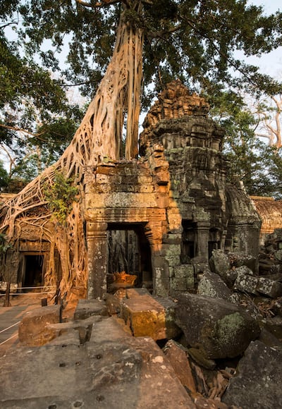 Ta Prohm in Siem Reap, Cambodia,  A battle between nature and architecture in the Cambodian jungle. The Ta Prohm is one of Angkor's best visited monuments. It is known for the huge trees and massive roots growing out of its walls. Getty Images