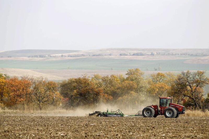 A man in a tractor prepares a field before sowing winter wheat. Farmers recently sowed their winter wheat crop in the driest soil in five years. Eduard Korniyenko / Reuters