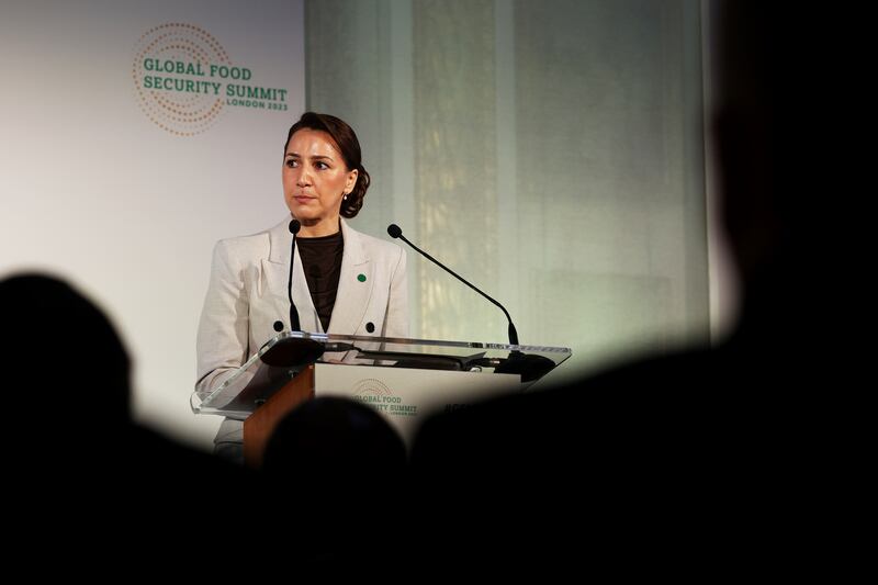 Mariam Al Mheiri, UAE Minister of Climate Change and Environment, and Minister of State for Food Security, addresses the event on November 20. Getty Images