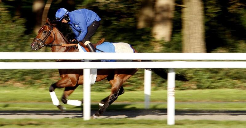 Charming Thought, who will compete in tomorrow’s Group 1 Middle Park Stakes at Newmarket in England, is put through his paces at Godolphin’s Moulton Paddocks on Wednesday. Steven Cargill / Racingfotos.com