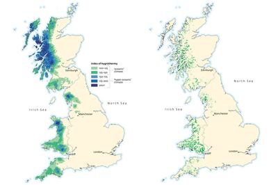 Left: A map showing the 20 per cent of Britain where the climate is suitable for temperate rainforest to thrive. Right: The surviving fragments covering less than 1 per cent of the country. Photo: Harper Collins