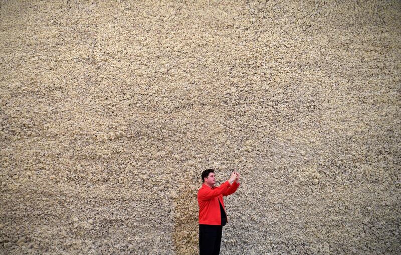 A man views Danish-Icelandic artist Olafur Eliasson's work 'Moss Wall' (1994). Photo: EPA