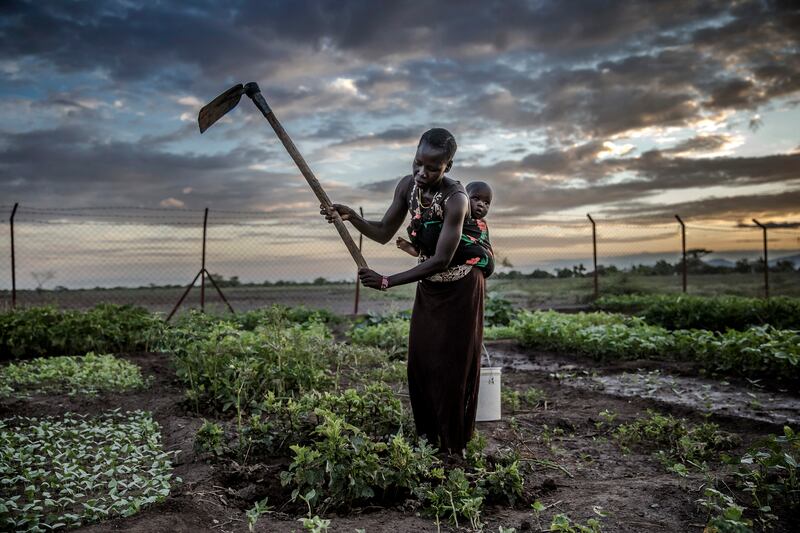 A woman from South Sudan tends her vegetable crops in Kalobeyei settlement for refugees in Turkana County, Kenya. AFP