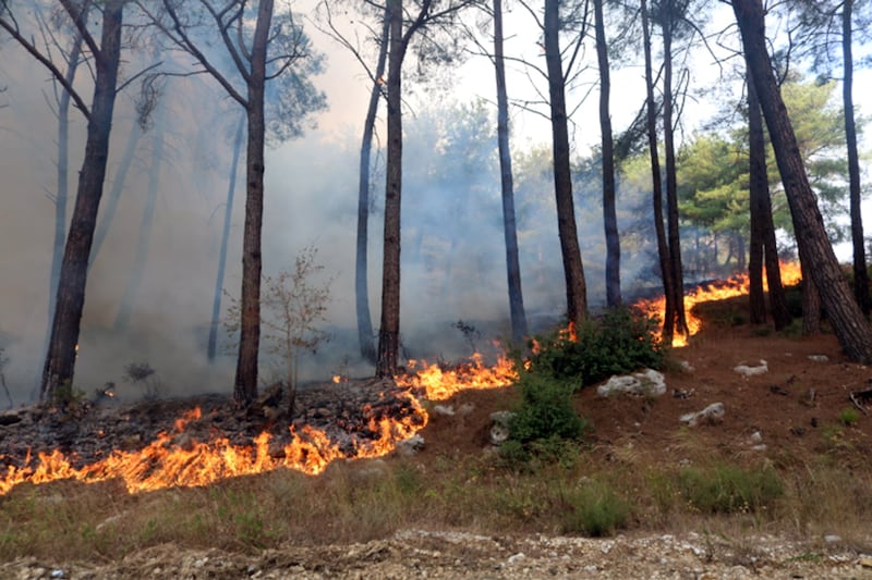 A forest on fire in the village of Beit Zantout. Reuters