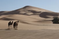 Giant Moroccan sand dune formed 13,000 years ago, scientists discover 