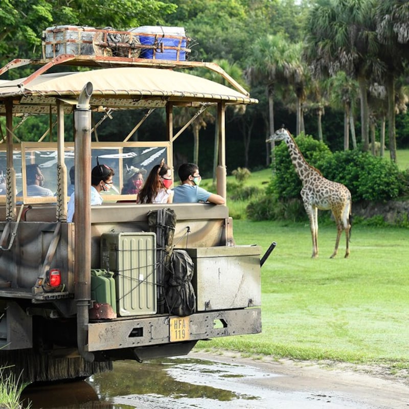Disney’s Animal Kingdom in Lake Buena Vista, Florida.
