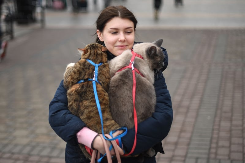 A woman carries her cats in a quest for a safe haven. AFP