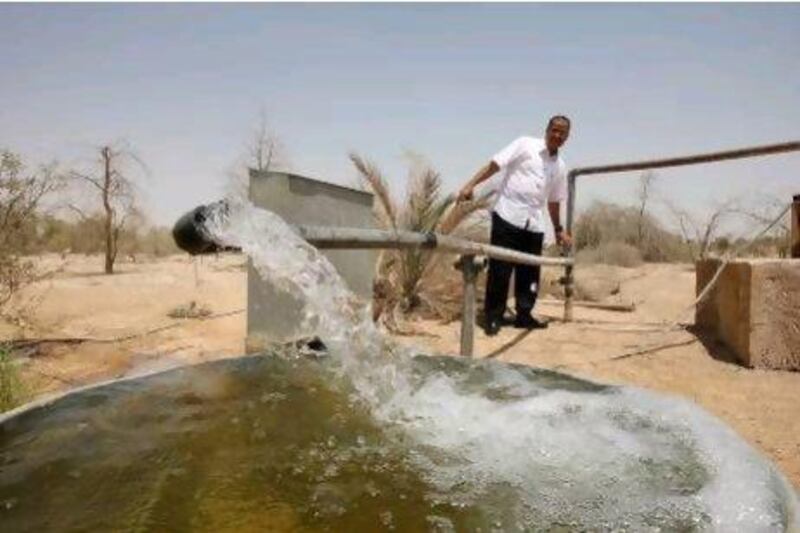 An engineer from UAE University in Al Ain shows a natural water well in the Falaj Hazza area.