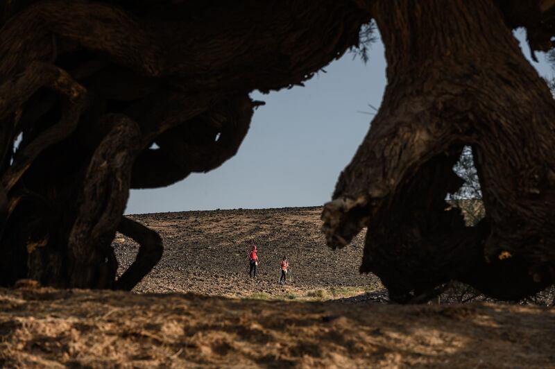 Women take part in the desert trek "Rose Trip Maroc" in the erg Chebbi near Merzouga. AFP