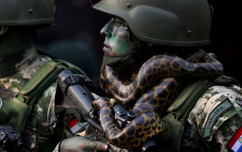 A member of Paraguay's Special Forces Cavalry marches with a snake around his neck during a military parade in Asuncion. Reuters