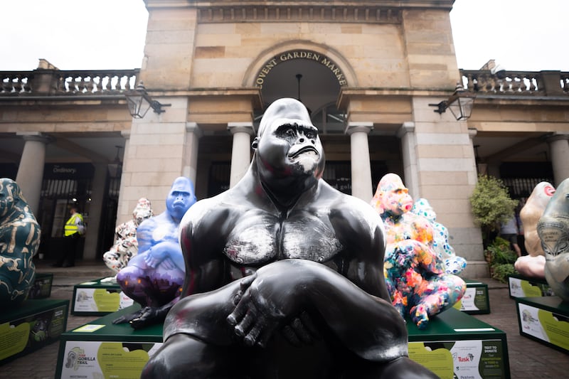 Gorilla statues on display in Covent Garden. PA
