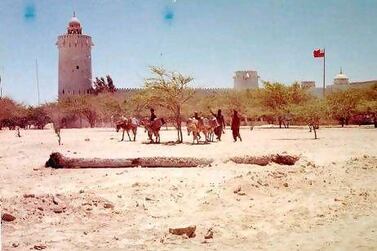 A drove of donkeys make their way past Qasr Al Hosn. Courtesy: John Vale