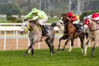 Hameen, ridden by Adrie De Vries, wins the Listed Arabian Triple Crown Round-1 in Abu Dhabi. Cedric Lane