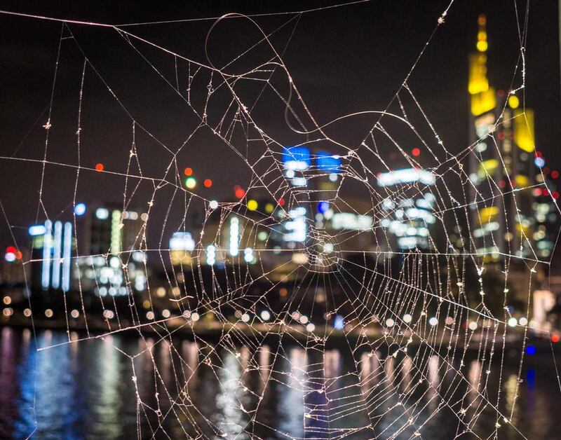 The illuminated skyline of Frankfurt am Main, western Germany, and its banking district can be seen behind a spider’s web. AFP