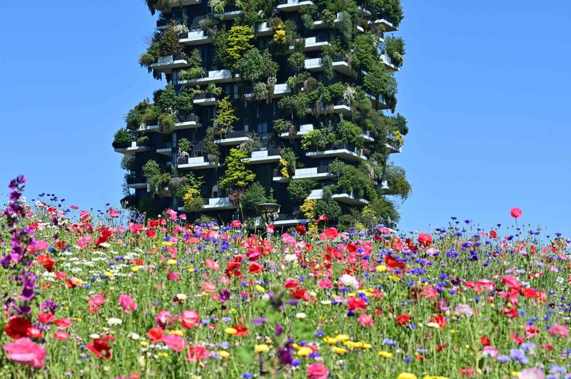 The botanic park Library of Trees shows the Vertical Forest high-rise complex in the district of Porta Nuova in Milan, Italy. AFP