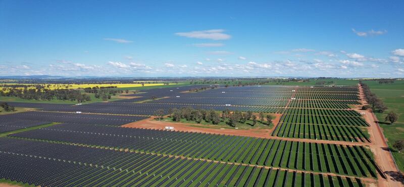 FRV’s solar farm in New South Wales, Australia. Photo: Abdul Latif Jameel Energy