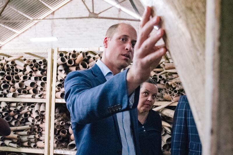 TANZANIA - OCTOBER 10: In this undated handout photo issued by Kensington Palace on October 10, 2018 to mark the launch of the Financial Taskforce,  Prince William, Duke of Cambridge and Naomi Doak from United for Wildlife, and Head of Conservation Programmes at the Royal Foundation, visit Tanzania. The Duke of Cambridge was granted a rare visit to the ivory stockpile, which has been built up over the last 23 years and is believed to be the largest ivory stockpile in the world. (Photo by Kensington Palace via Getty Images) NEWS EDITORIAL USE ONLY. NO COMMERCIAL USE. NO MERCHANDISING, ADVERTISING, SOUVENIRS, MEMORABILIA or COLOURABLY SIMILAR.