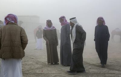 Al Dhafra, 23, Dec, 2017:  Owners on the Million Street before the Berak Competition at the Al Dhafra Festival in UAE  . Satish Kumar for the National/ Story by Anna