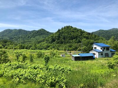 Hoheikyo onsen has hot indoor and outdoor baths surrounded by lush forest. Courtesy Declan McVeigh