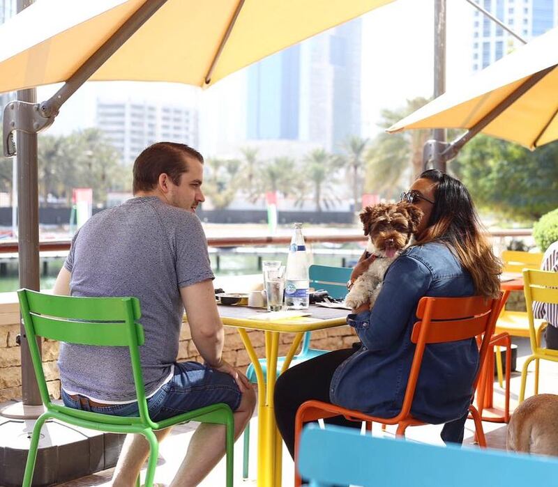 Urban Bistro in Dubai Media City launched its monthly Puppy Brunch in January. Courtesy Felicity Stokes