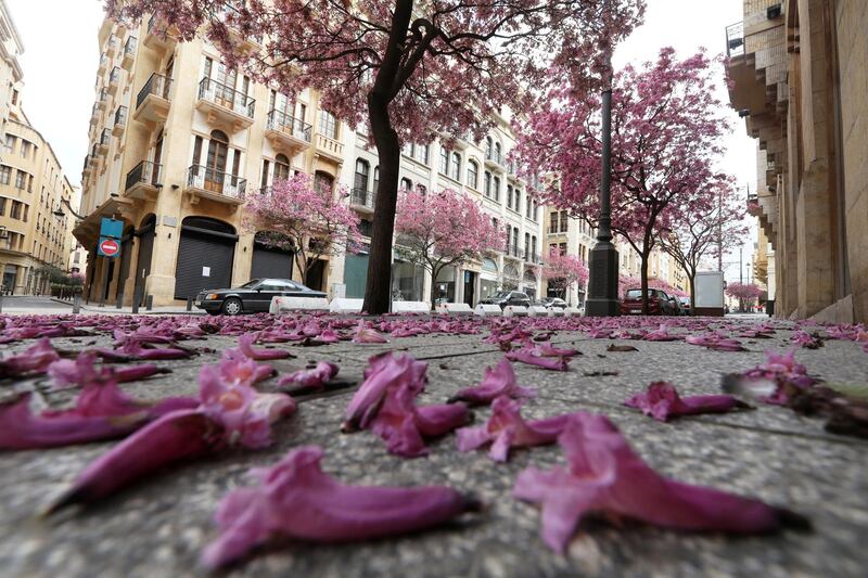 Trees are pictured along an empty road, during a countrywide lockdown in Beirut, Lebanon. Reuters