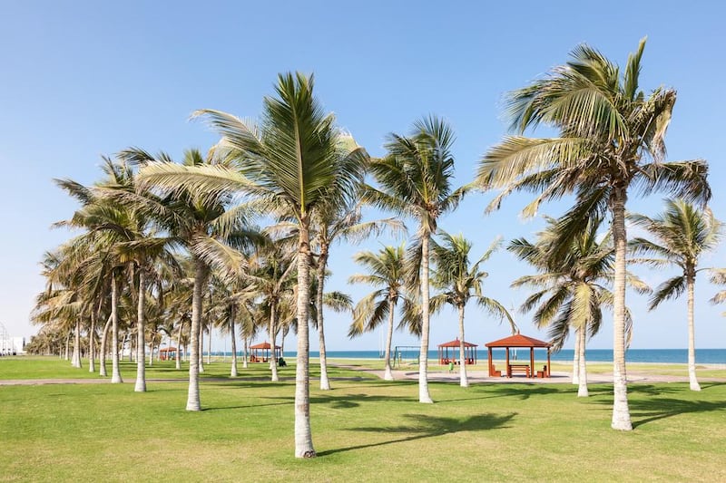 The park at the corniche in Seeb, Oman. Seeb offers a souq, a beach, a fish market and plentiful food options. Philipus / Alamy Stock Photo