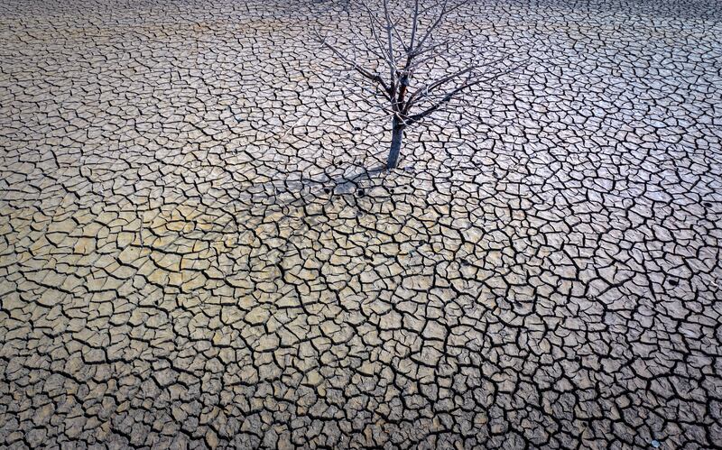The cracked earth of the Sau reservoir north of Barcelona, Spain. AP Photo