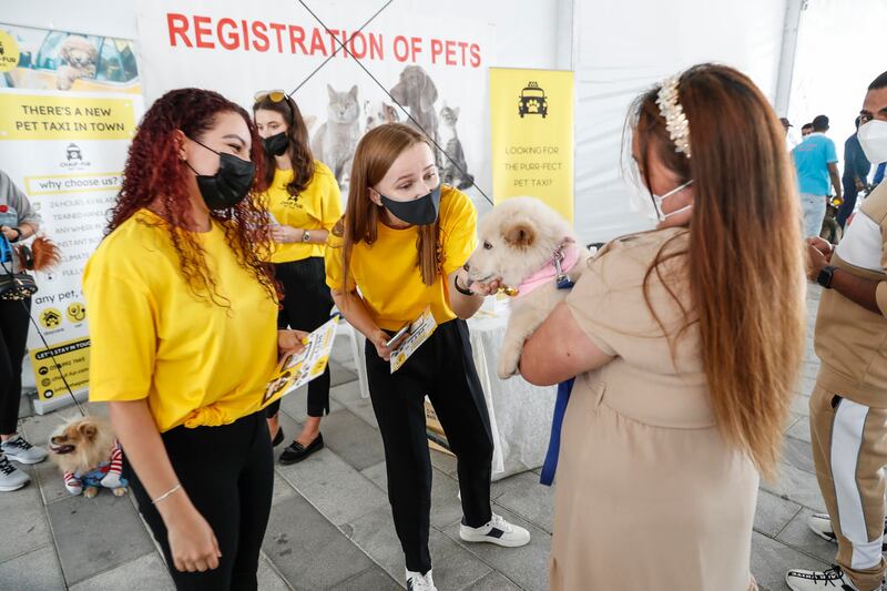 The Dubai Pet Festival returned to Souk Al Marfa on Deira Islands on Sunday. All photos: Antonie Robertson / The National