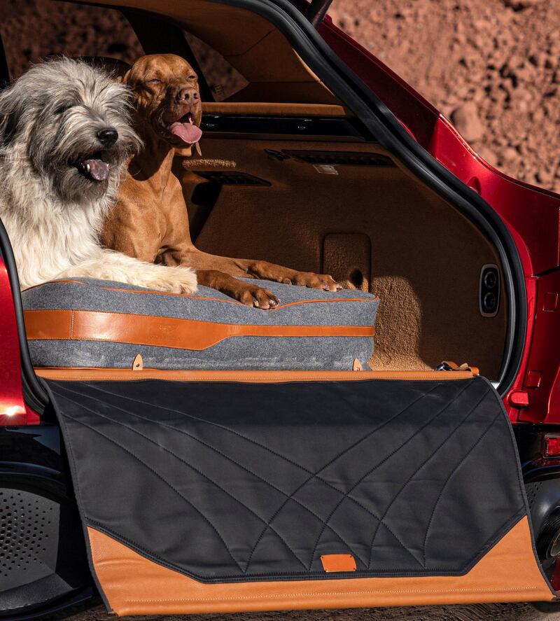 Aston Martin is also catering for pets with this car